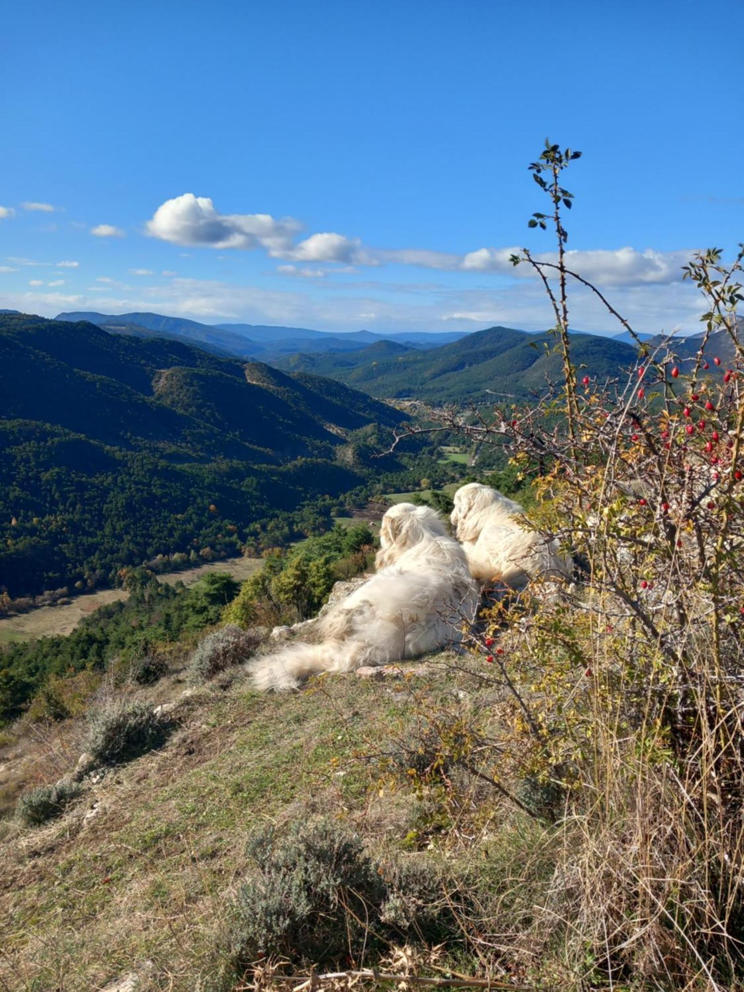 Gite La Mountagna Peyroules Экстерьер фото
